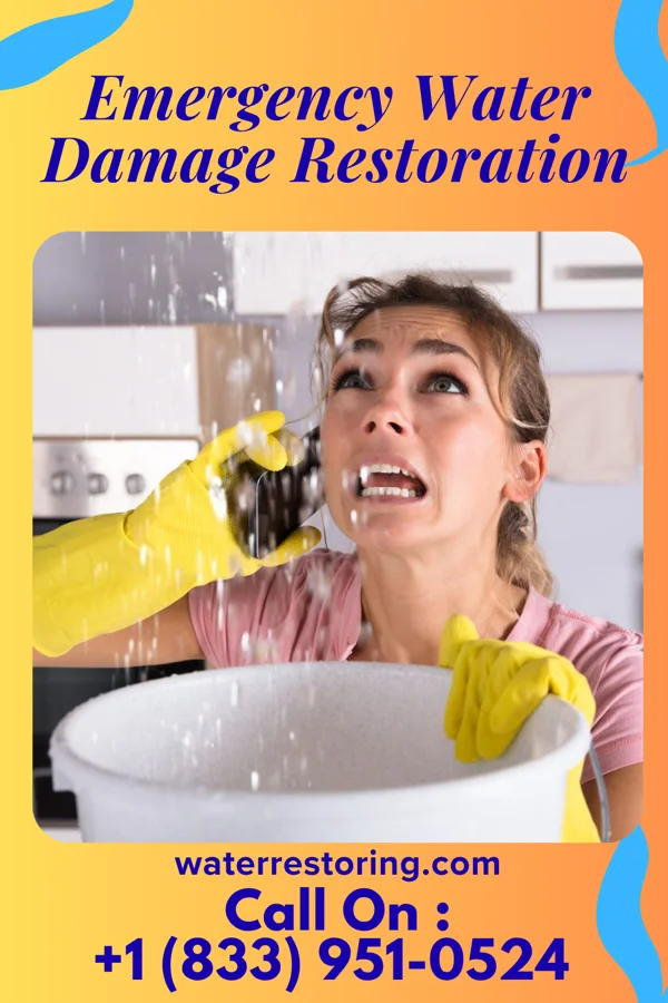 Emergency Water Damage Restoration in Pelion, SC