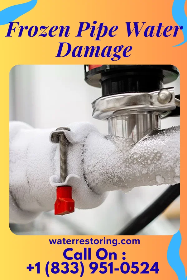 Frozen Pipe Water Damage in Pelion, SC